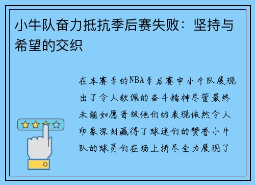 小牛队奋力抵抗季后赛失败：坚持与希望的交织